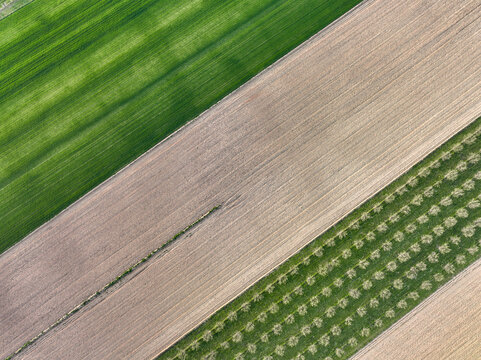 Aerial view of agricultural fields with diagonal patterns of green crops, plowed soil, and rows of orchards in Borgo d'Ale, Piedmont, Italy.