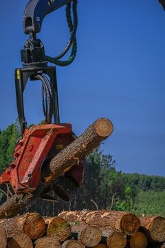 Forest Machine Logging Equipment Timber Harvesting