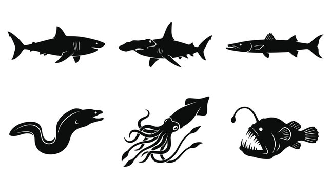 Black silhouettes of sea creatures swimming.