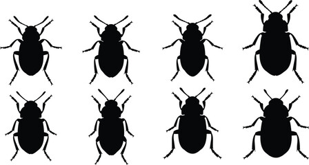 Flea beetle silhouettes set. Diverse beetle vector icons for agricultural science. Precise insect shapes for garden pest control, nature study, and biological design. © Olivia
