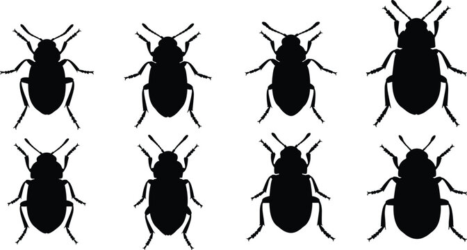 Flea beetle silhouettes set. Diverse beetle vector icons for agricultural science. Precise insect shapes for garden pest control, nature study, and biological design.