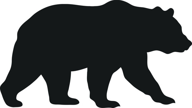 Black bear walking silhouette, vector illustration of forest wildlife