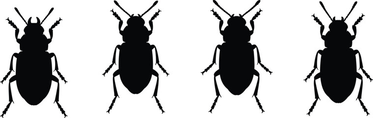 Flea beetle silhouettes set. Professional beetle vector icons for agricultural study. Realistic insect shapes for garden pest control, nature, and biological science design. © Olivia