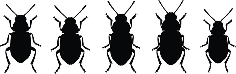 Flea beetle silhouettes set. High-quality beetle vector icons for agriculture. Realistic insect shapes for garden pest control, nature study, and biological design. © Olivia