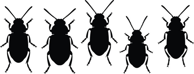 Flea beetle silhouettes set. Detailed beetle vector icons for agriculture. Realistic insect shapes for garden pest control, nature study, and biological design. © Olivia