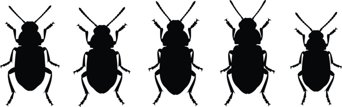 Flea beetle silhouettes set. High-quality beetle vector icons for agriculture. Realistic insect shapes for garden pest control, nature study, and biological design.