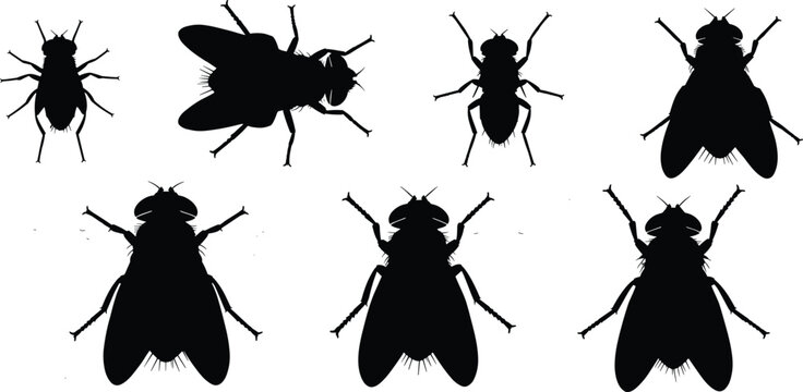Botfly insect silhouettes set. Detailed botfly vector icons for pest control. Realistic botfly shapes for biology, nature study, and entomology design.