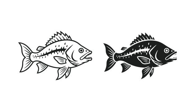 Aggressive predatory fish with sharp teeth and spiky fins in detailed vector illustration for fishing sport brand logo and aquatic wildlife educational materials