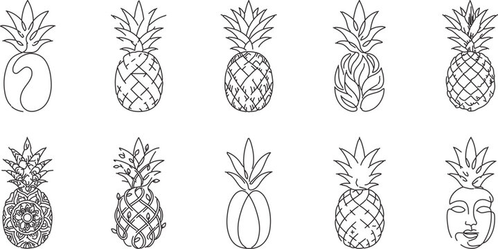  Luxury pineapple line art vector illustrations with boho variations.