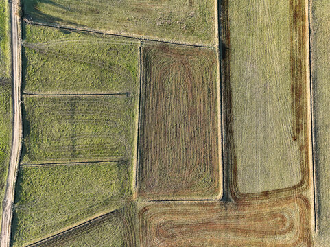 Aerial view of geometric agricultural fields with tilled soil patterns and green grass textures along a dirt road in Rivalta di Torino, Piedmont, Italy.