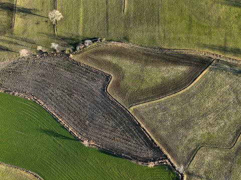 Aerial view of the geometric patterns of agricultural fields with plowed soil and green meadows under soft sunlight in Rivalta di Torino, Piedmont, Italy.