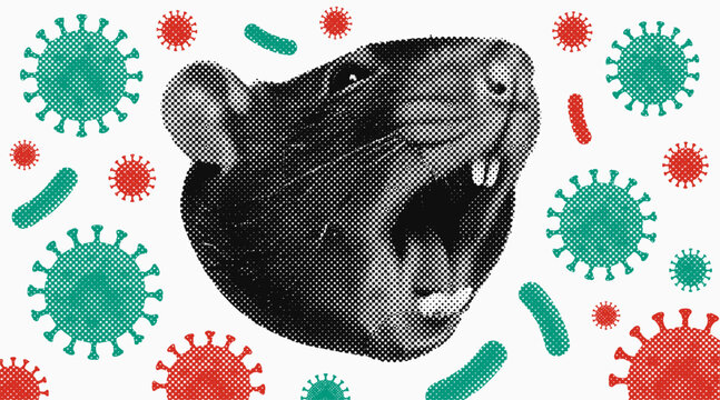 rat with virus and bacteria, infectious disease spread, quarantine design, pandemic risk illustration