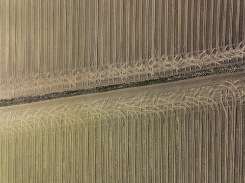 Aerial view of agricultural fields with vertical furrows and curved tractor tracks along a central dirt path in Rivalta di Torino, Piedmont, Italy.