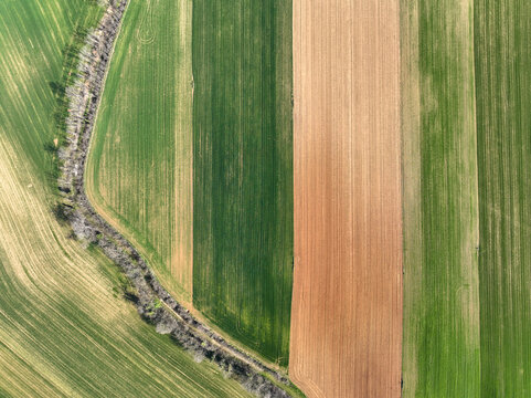 Aerial view of vibrant agricultural fields with geometric patterns of green crops and brown soil under bright daylight in Rivalta di Torino, Piedmont, Italy.