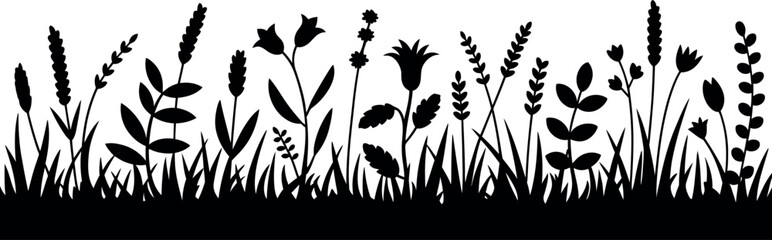 Silhouette of grass and wildflowers on white background © md manik hossain