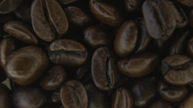 Rotating Roasted Coffee Beans With Light Steam.