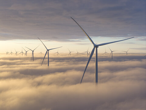 Aerial view of a modern wind farm with turbines emerging from a thick layer of white clouds under a soft golden sunrise sky Netherlands.