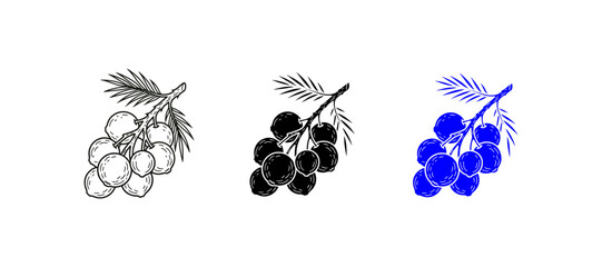 peach palm © Abdul