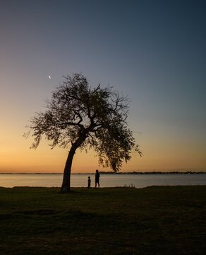 Paisaje sereno al atardecer con silueta de &aacute;rbol solitario y siluetas de padre e hijo frente a la costa. Escena de paz y tranquilidad bajo un cielo con luna creciente durante la hora azul y dorada.
