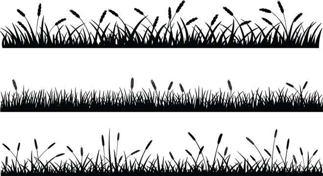 Black grass silhouette borders, meadow field lawn horizontal elements, wild herb plants, nature landscape floral decoration, outdoor summer.