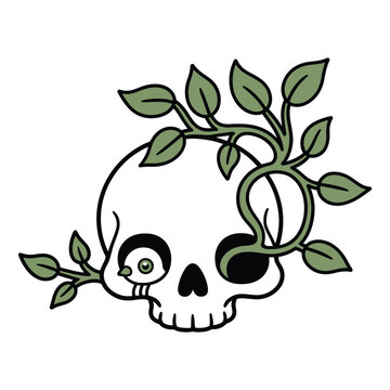 Skull with growing vine and leaves, delicate nature tattoo style, rebirth symbol vector.