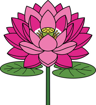 Vibrant pink lotus flower illustration with green leaves on a transparent background, symbolizing purity and enlightenment.