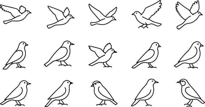 Bird silhouettes collection flying and perching poses isolated on transparent background
