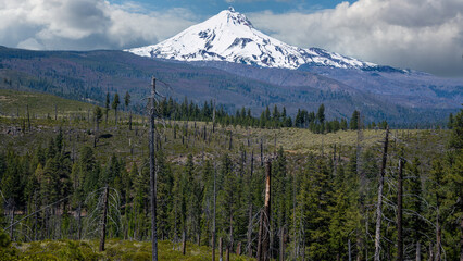 Snow covered Mt. Jefferson in the central Oregon Cascade Range © Rex Wholster