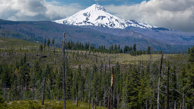 Snow covered Mt. Jefferson in the central Oregon Cascade Range