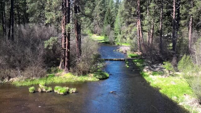 Confluence of Lake Creek and the Metolius River near Camp Sherman in the Oregon Cascade Range