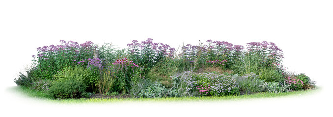 Fototapeta premium Large flowerbed with a composition of blue and purple flowers, isolated on white and transparent background