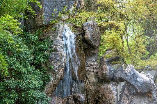 Serene Waterfall in a presented in a natural scene in an outdoor setting, in a natural environment, under daylight, with a natural mood, suitable for wildlife, conservation.