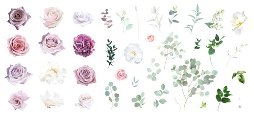 Fototapeta premium Muted purple hydrangea, white and blush pink roses, white peony, magnolia, carnation vector design elements big set. Eucalyptus, Floral summer watercolor wedding. Elements are isolated and editable