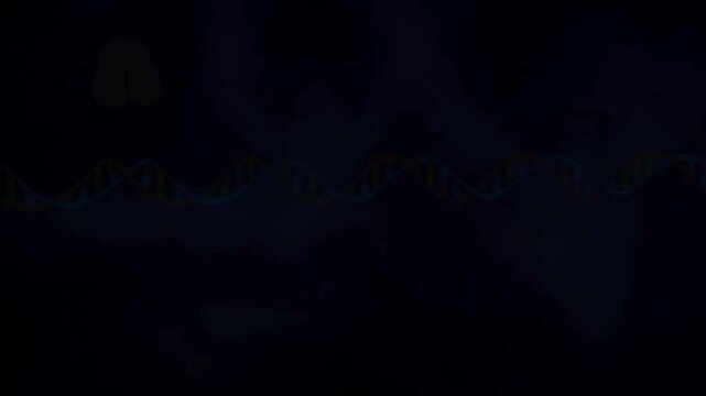 Expressed sequence tags and sequence annotaion in human genome project