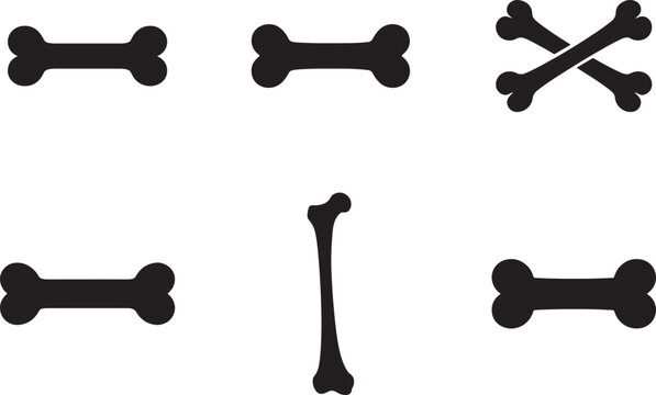 Multipurpose bones vector icon set in outline, glyph and filled outline style variations.