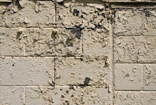 yellow painted and chipped peeling cement brick wall showing black mold and retro style grunge look