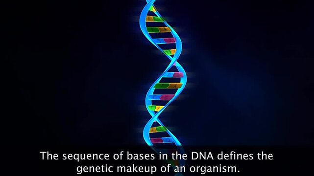 Genetic make up of an organism and human karyotype