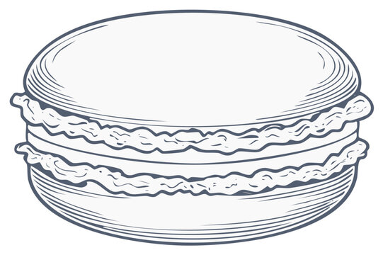 Classic French macaron dessert drawn in a detailed vintage line art style. Isolated sweet pastry sketch.