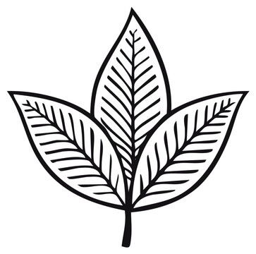 Stylized Trio of Organic Leaves Emblem Outline Design Botanical Element