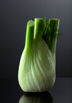 Fennel bulb with green stalks and fronds on a black background.