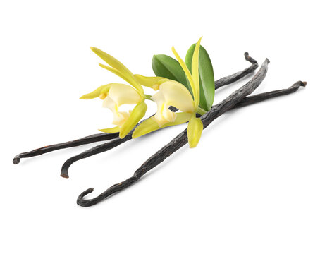 Vanilla pods, flowers and leaves isolated on white