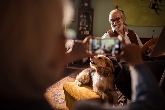 Senior artist painting at home while partner photographs their dog
