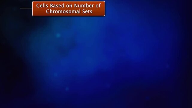 Cells based on number of chromosomal sets