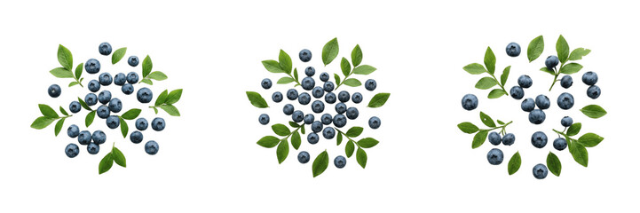 Fresh blueberries with green leaves organic berry fruit healthy diet harvest antioxidant superfood raw © kulan