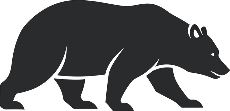 Black bear walking on ground.