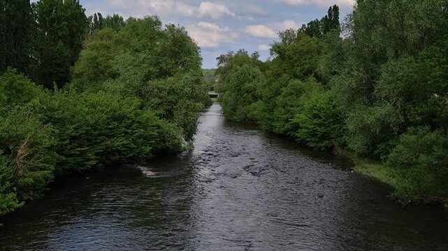 Vertical 4K slow motion shot of a wide river flowing through a lush green forest under a blue cloudy sky. Steady camera, 100 Mbps bitrate, cinematic 24 fps. Peaceful nature scene.