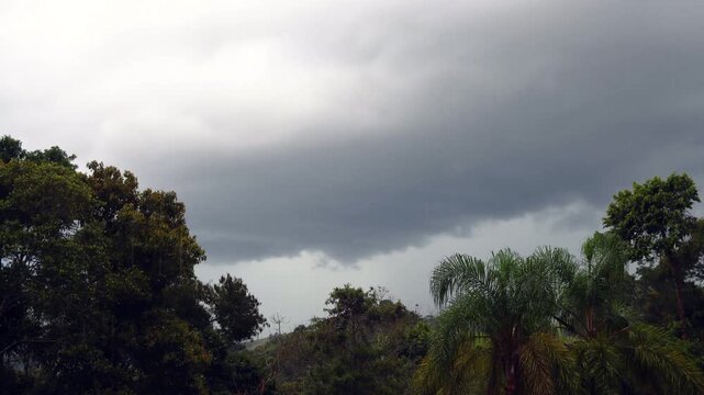 Tropical Storm Brewing time lapse recorded on the Rio de Janeiro mountains, with the tipical tropical atlantic forest in the foreground.