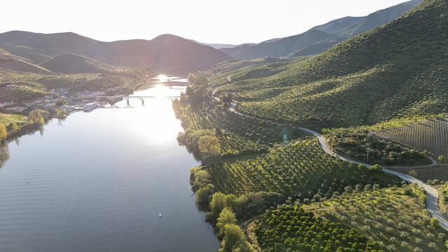 Aerial view of Barca de Alva featuring the Douro River, a bridge, and terraced vineyards on green hills under bright sunlight in Figueira de Castelo Rodrigo, Distrito da Guarda, Portugal.