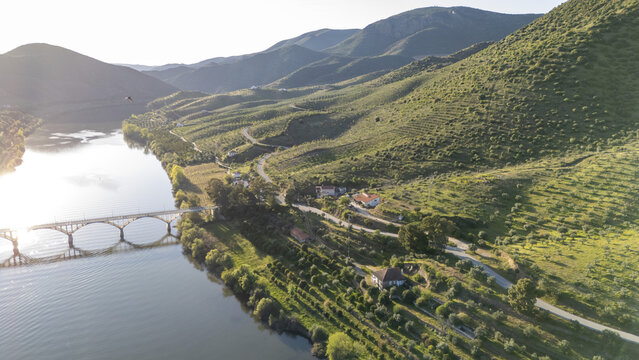 Aerial view of Barca de Alva featuring the arched bridge over the Douro River, terraced green hills, and a winding road in Figueira de Castelo Rodrigo, Distrito da Guarda, Portugal.