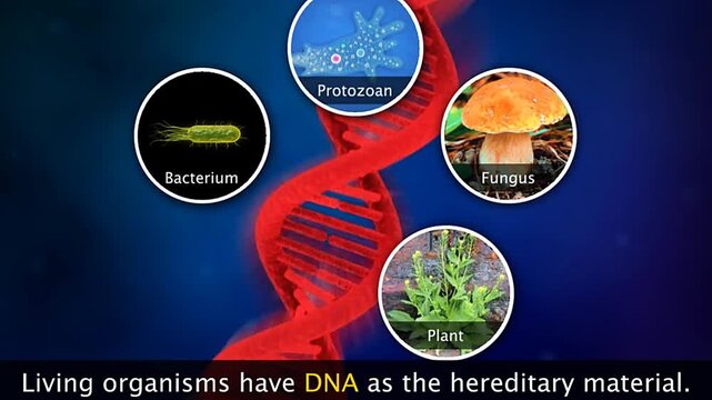 DNA as hereditary material